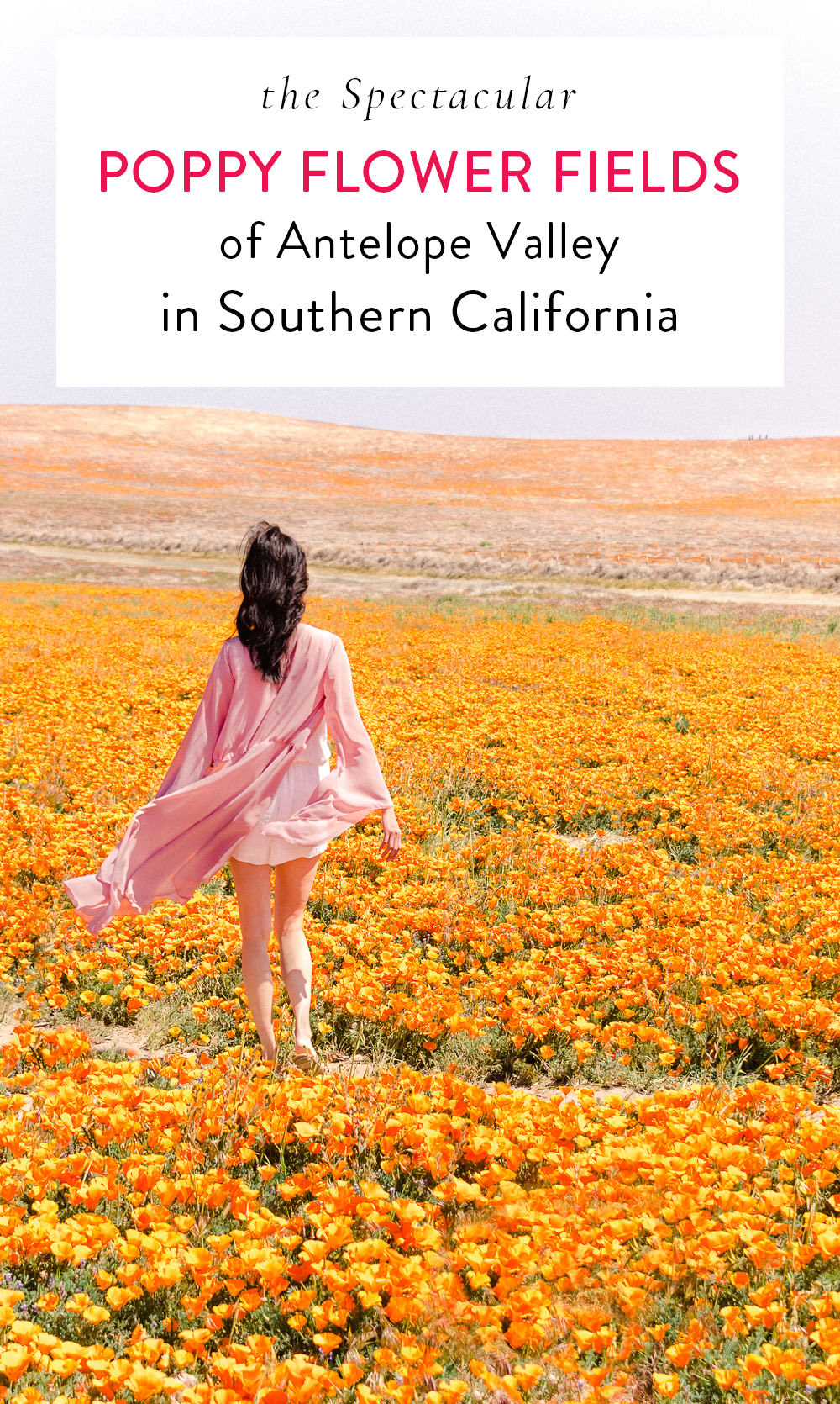 Superbloom Poppies at Antelope Valley in Southern ...