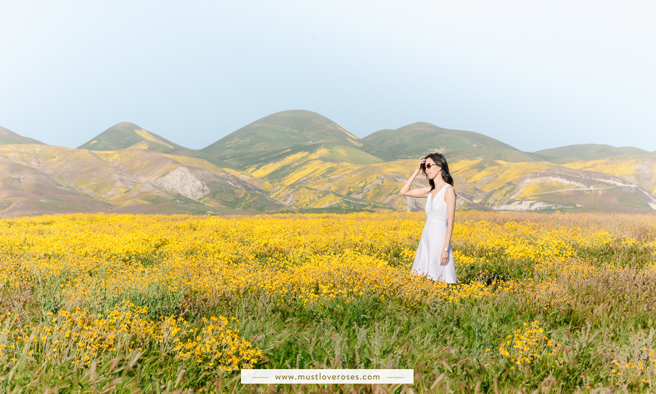 Carrizo Plain Superbloom Wildflowers