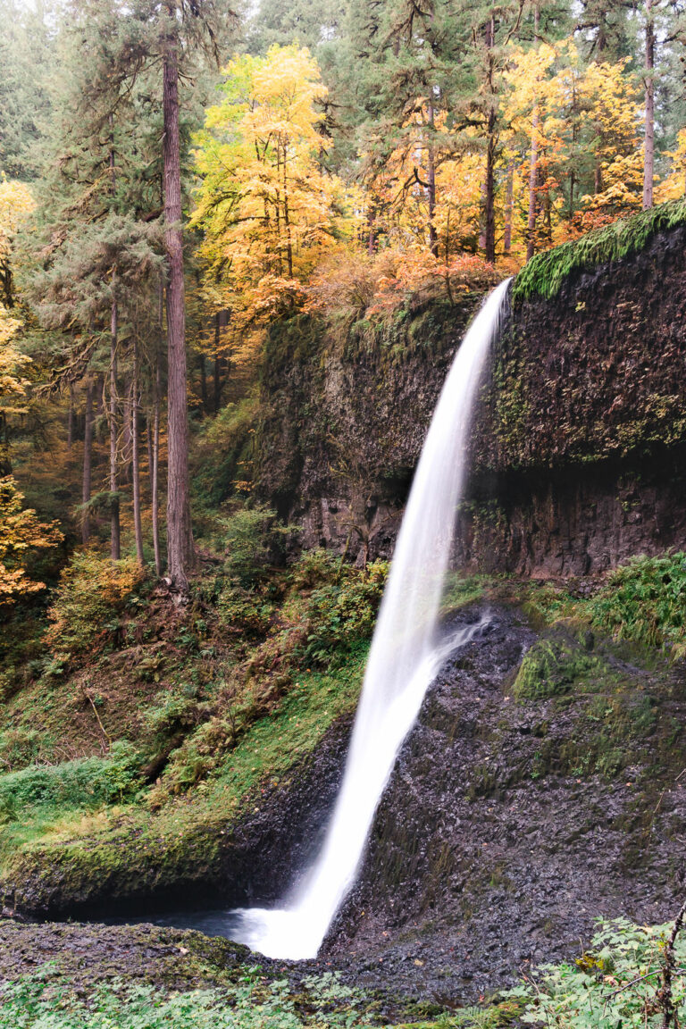 Beautiful Fall Colors At Silver Falls State Park In Oregon