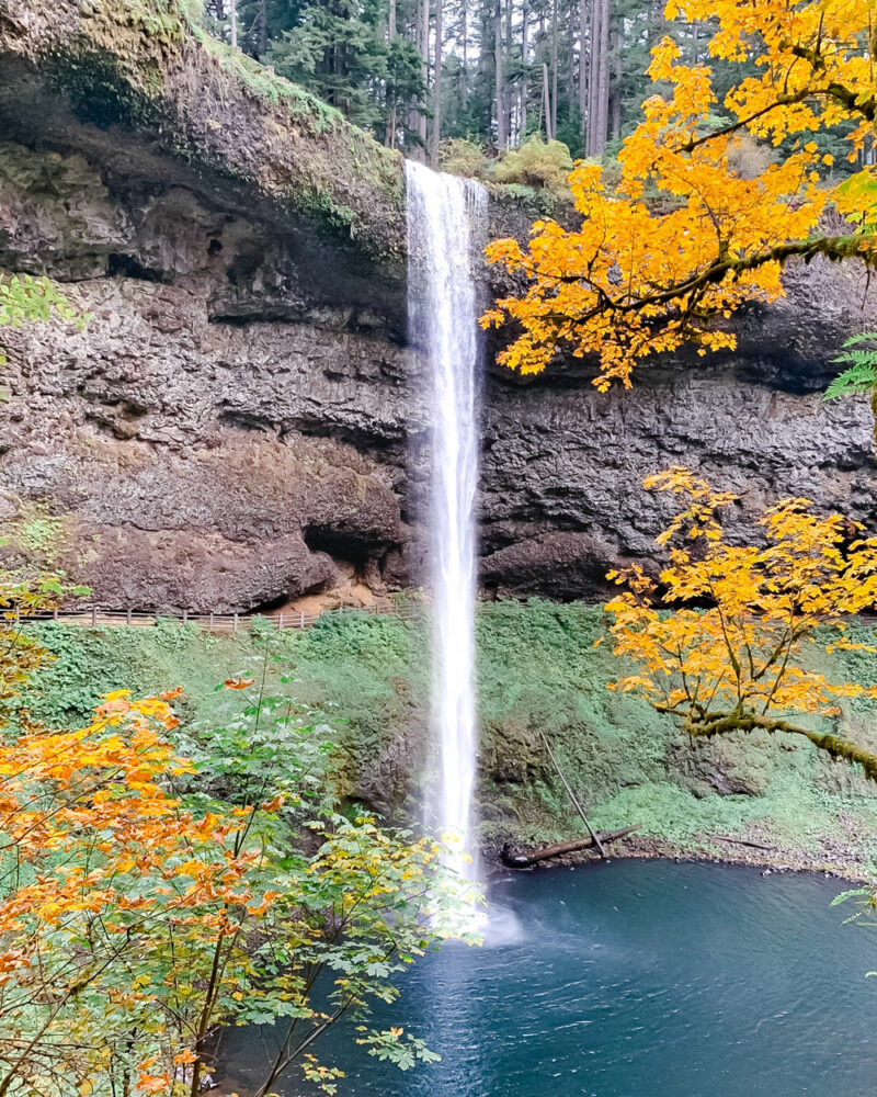 Beautiful Fall Colors at Silver Falls State Park in Oregon