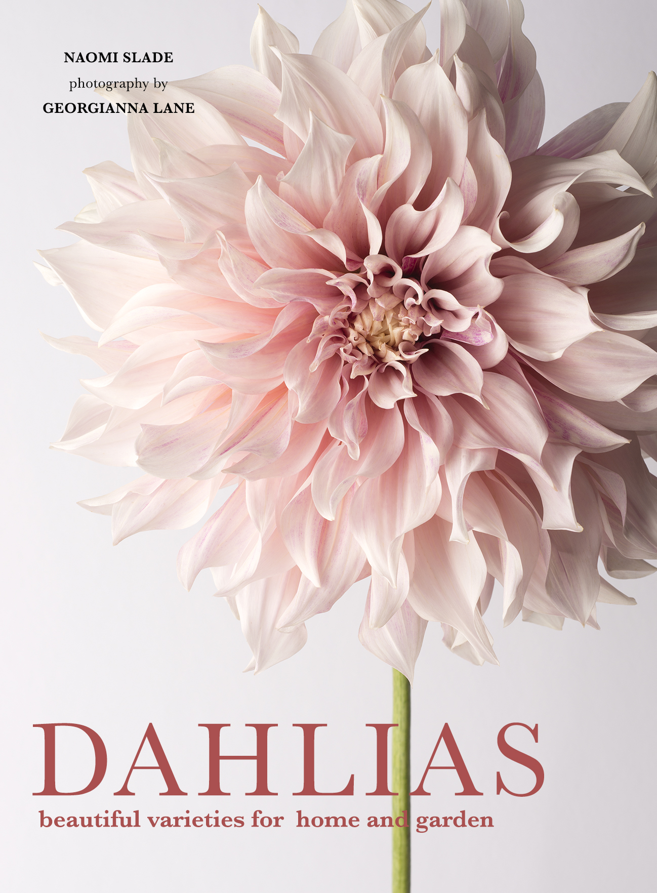 Dahlias book