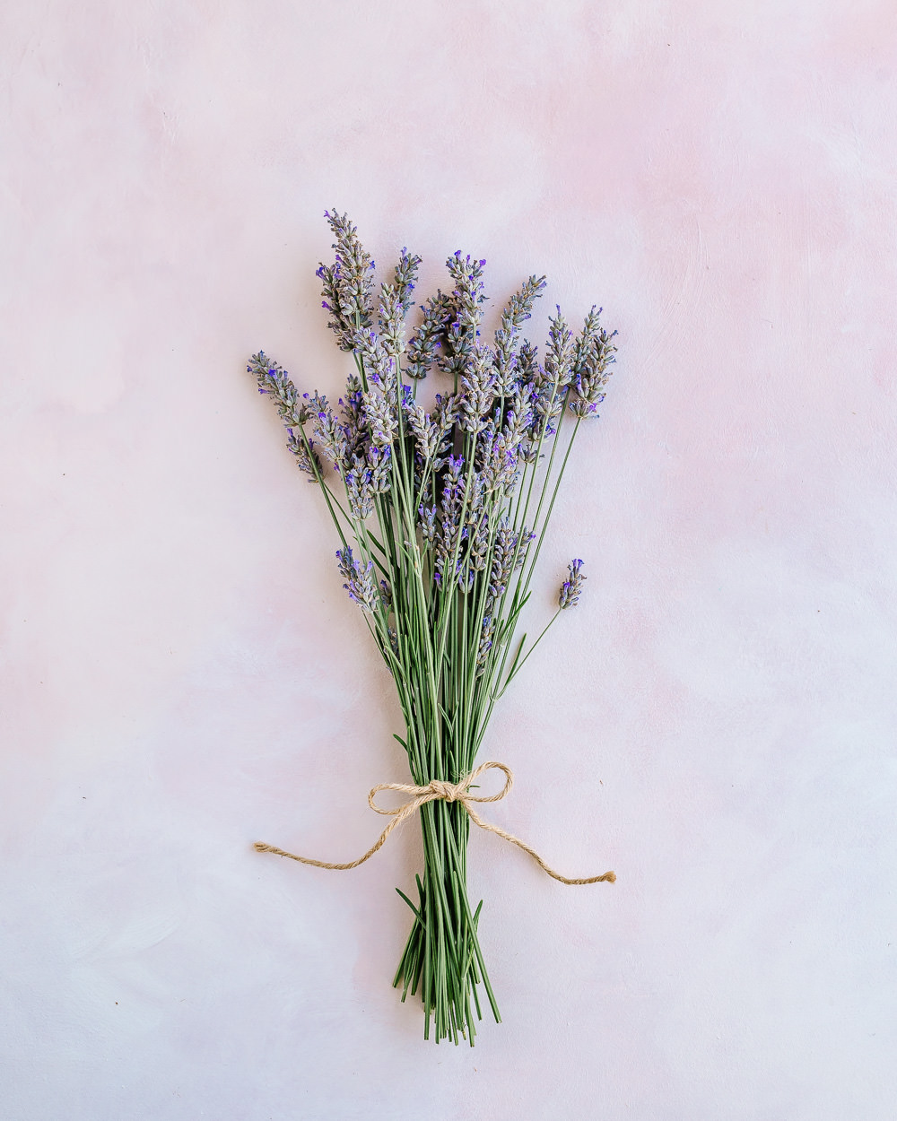 How to Dry Lavender for DIY Projects