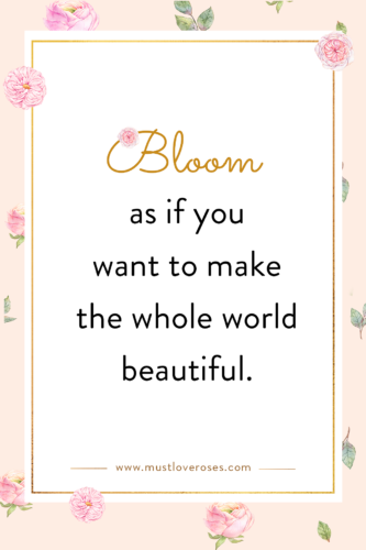 Inspirational Quotes Blooming Series