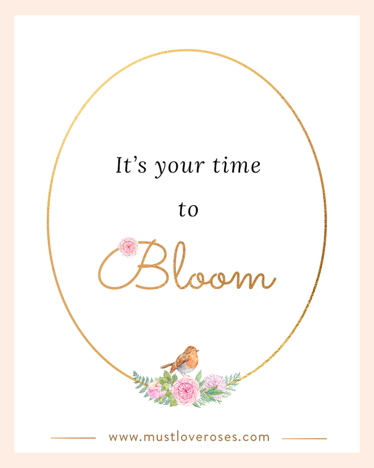 Inspirational Quotes Blooming Series