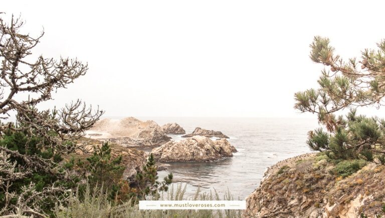 The Most Beautiful Spots in Big Sur California