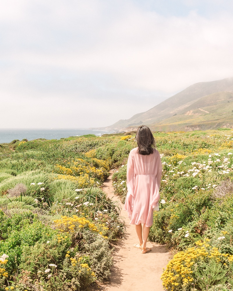 The Most Beautiful Spots in Big Sur California