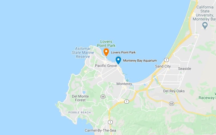 Map of Where to Find Magic Purple Carpet in Pacific Grove