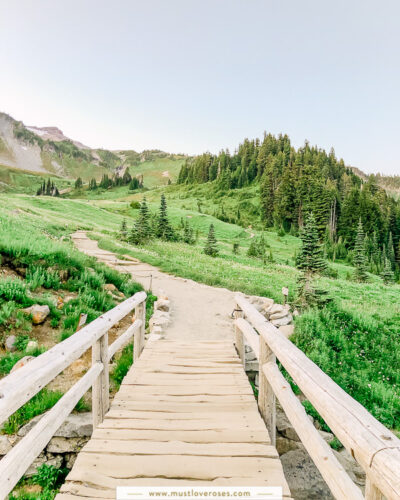 Mt Rainier National Park s Best Easy Hikes with Amazing Views