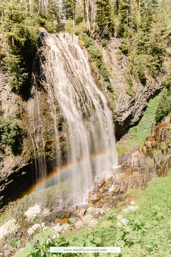 Narada Falls at Mt Rainier National Park