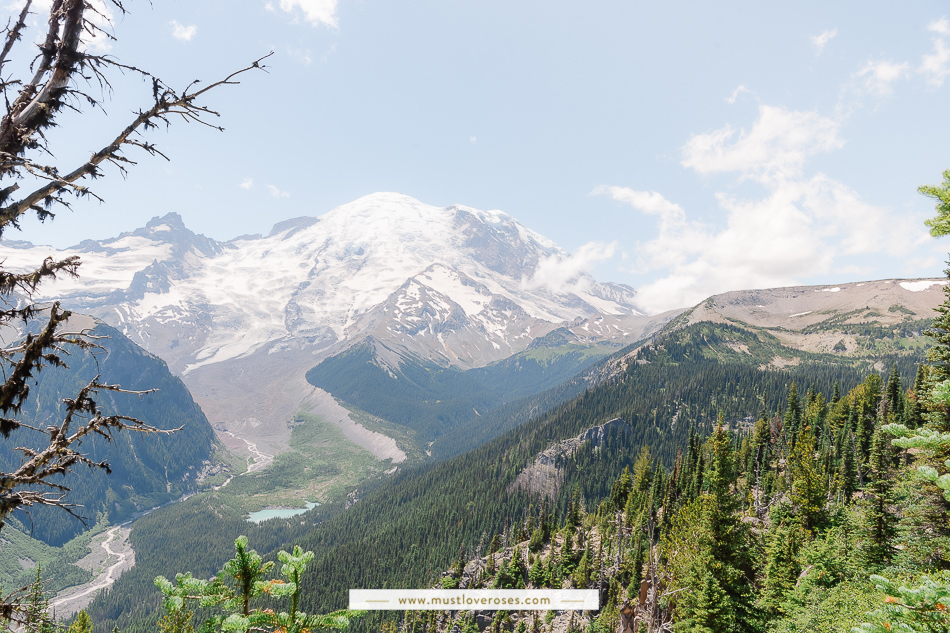 3 Easy Hikes in Mount Rainier National Park — Hiking for Donuts