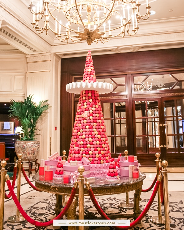 Laduree macaron display in Paris