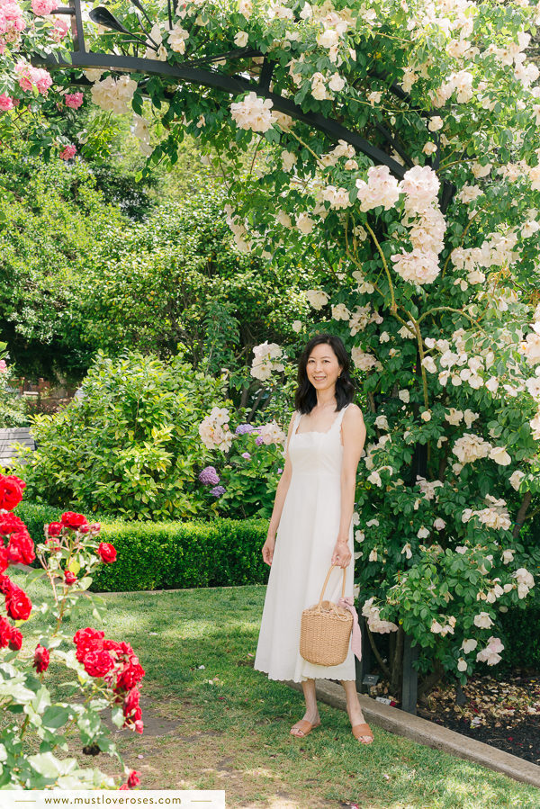 Most Beautiful Rose Garden in Northern California