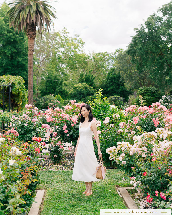 The Most Beautiful Rose Garden in Northern California