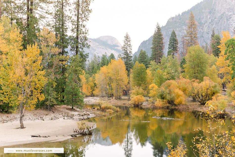 Beautiful Fall colors at Yosemite