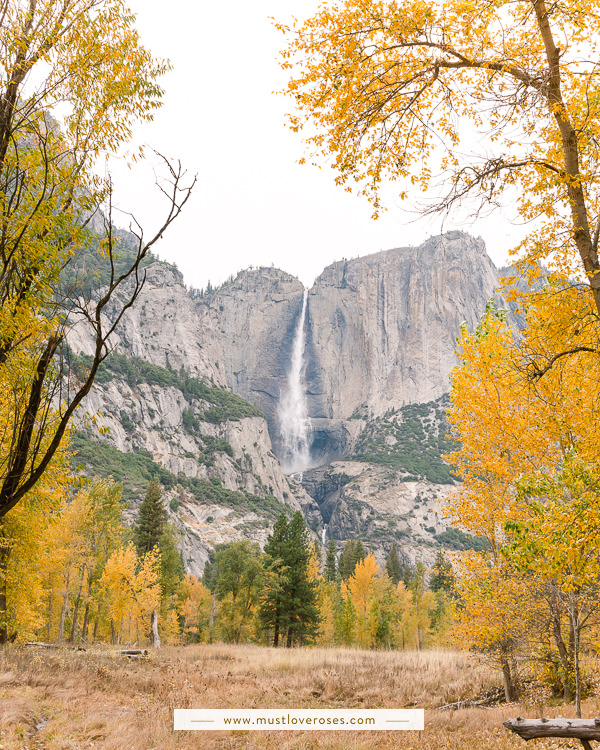 Beautiful Fall colors at Yosemite with Yosemite Falls