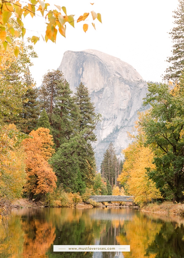 Fall colors at Yosemite with Half Dome in background