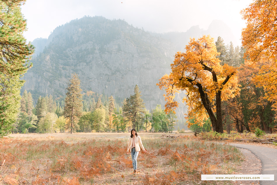 Beautiful Fall colors at Yosemite Valley