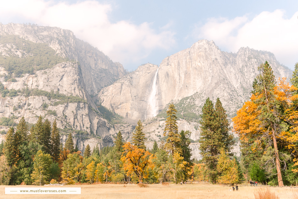 Beautiful Fall colors at Yosemite Valley with Yosemite Falls