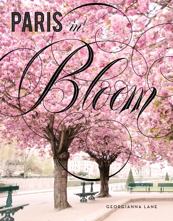 Paris In Bloom book